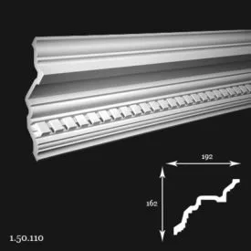 Karnīze  1.50.110