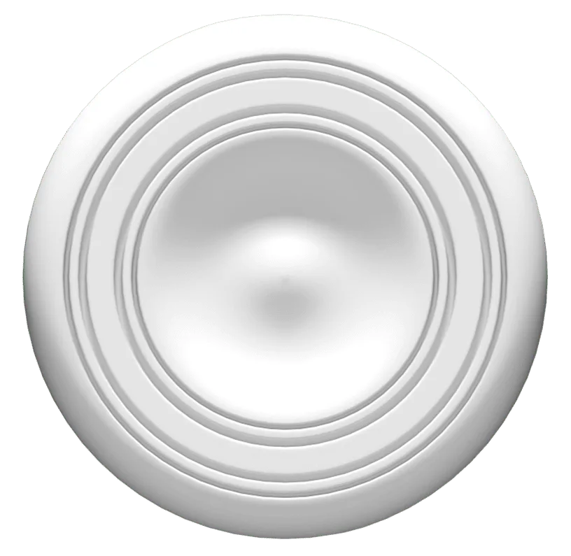Griestu rozete 1.56.707